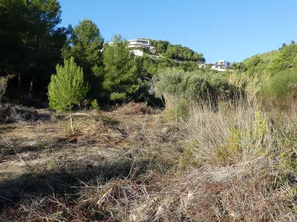 Terreno en La Fustera