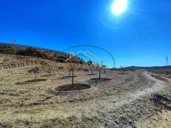 Terreno en plaza Polígono 3 Parcela 226 La Ballestera