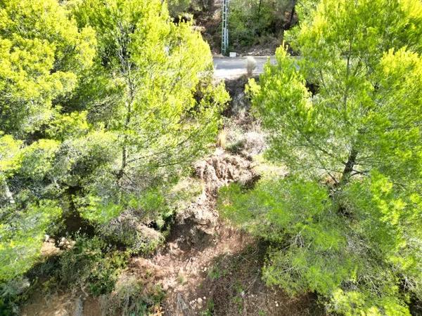 Terreno en Callosa d'En Sarria