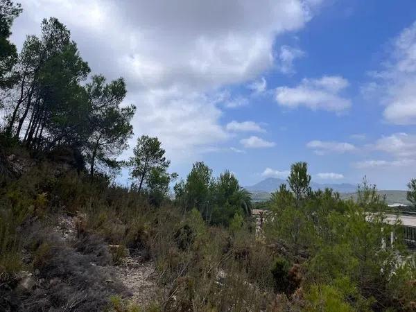 Terreno en calle Palmera