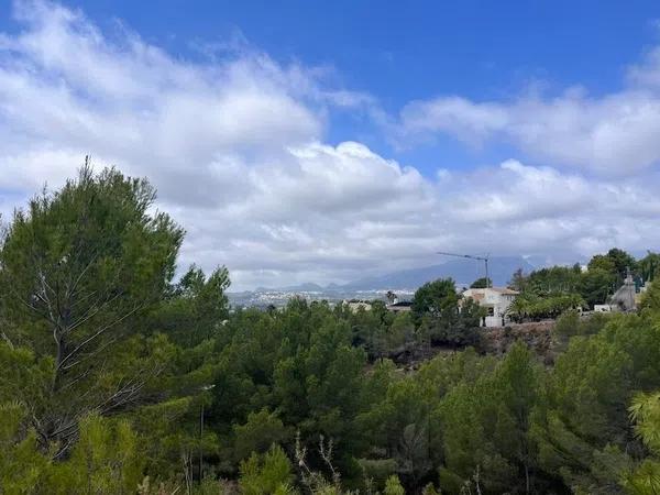 Terreno en calle Palmera