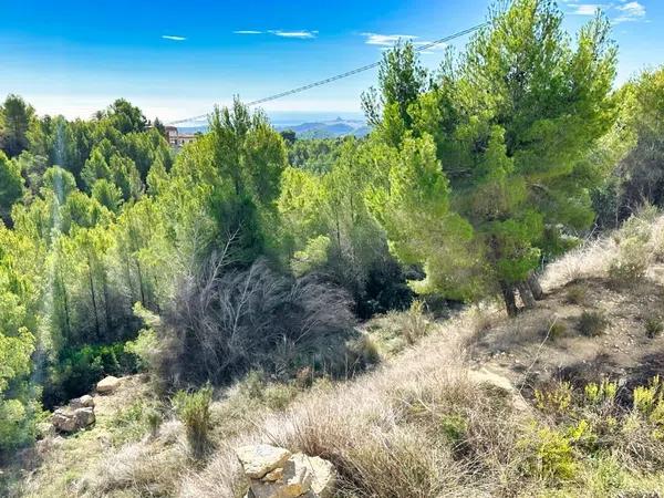 Terreno en Callosa d'En Sarria