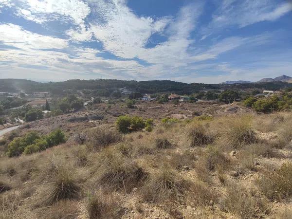 Terreno en Partida Peña Sendra