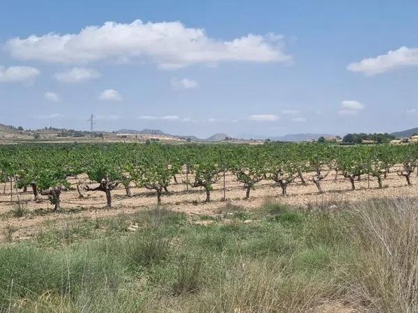 Terreno en Pinoso