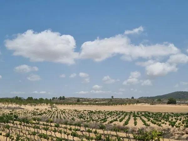 Terreno en Pinoso