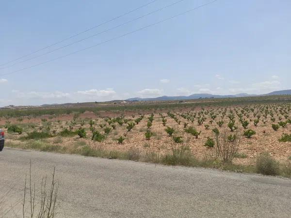 Terreno en Pinoso