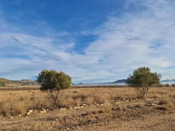 Terreno en Monovar