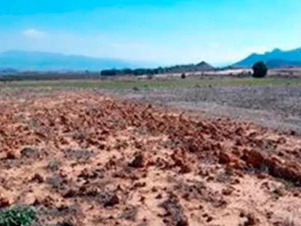 Terreno en carretera de Carboneras a Salinas