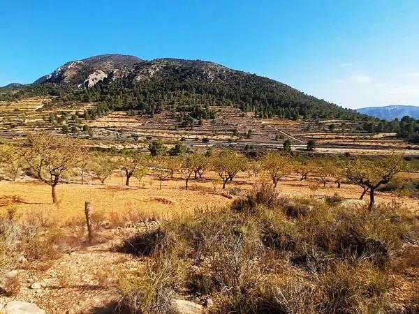 Terreno en la rotura, 122