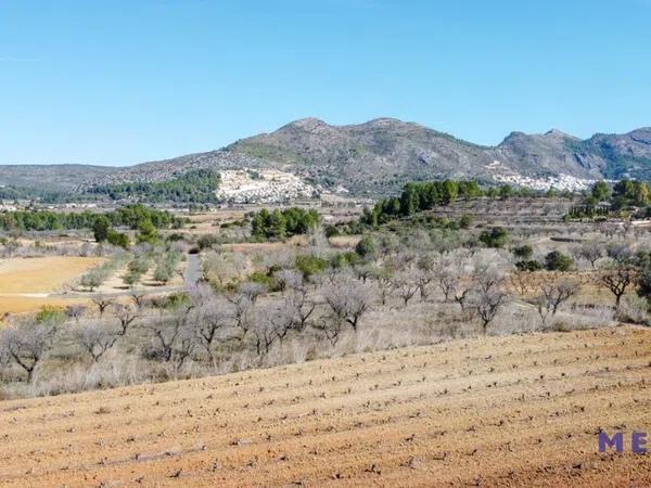 Terreno en Jalón