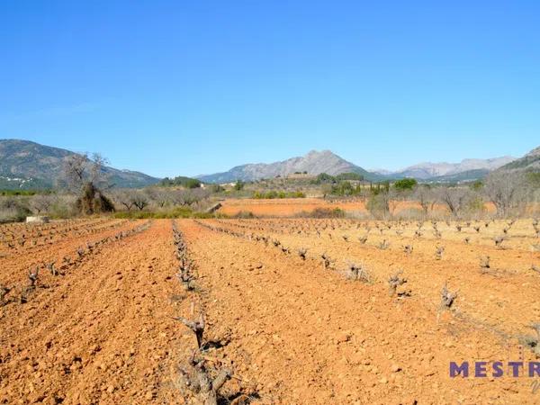 Terreno en Jalón