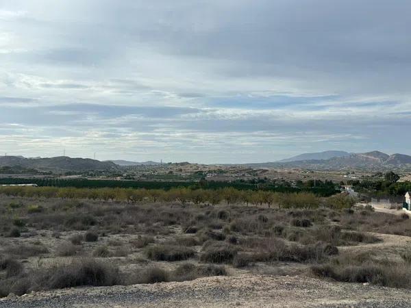 Terreno en alto Polígono 163 Parcela 1089