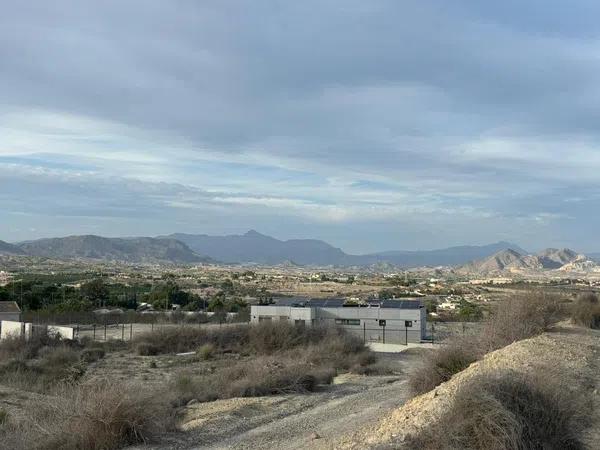 Terreno en alto Polígono 163 Parcela 1089