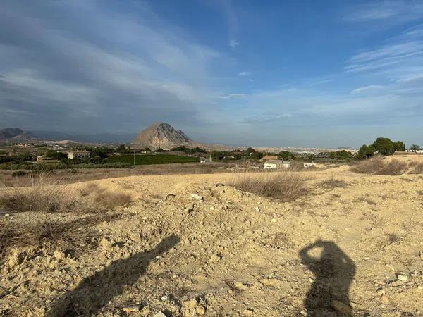 Terreno en alto Polígono 163 Parcela 1089