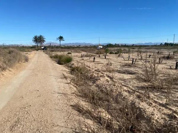 Terreno en La Marina