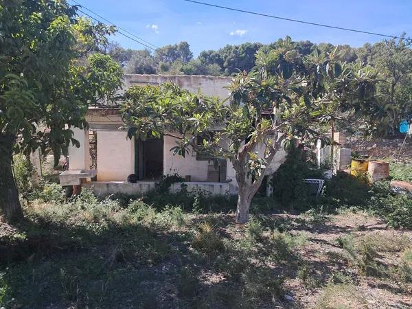 Terreno en Partida Pedrera