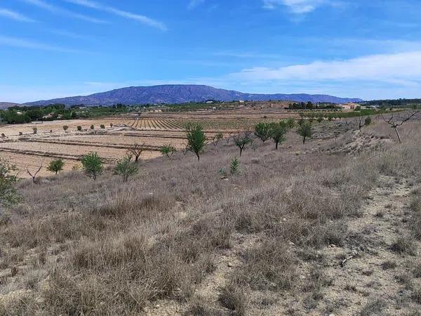 Terreno en poligono 10