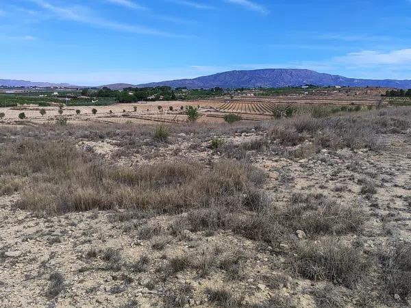 Terreno en poligono 10