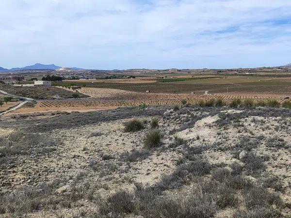 Terreno en poligono 10