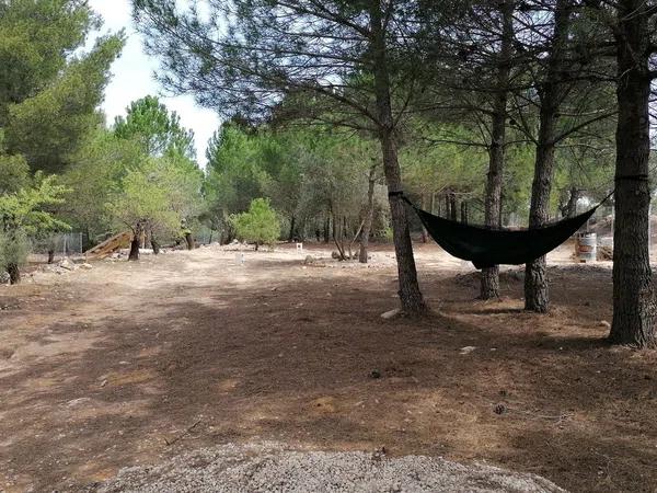 Terreno en carretera de bañeres Cv-804 s/n