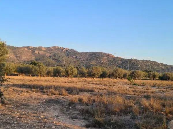 Terreno en Peña Rubia, 168