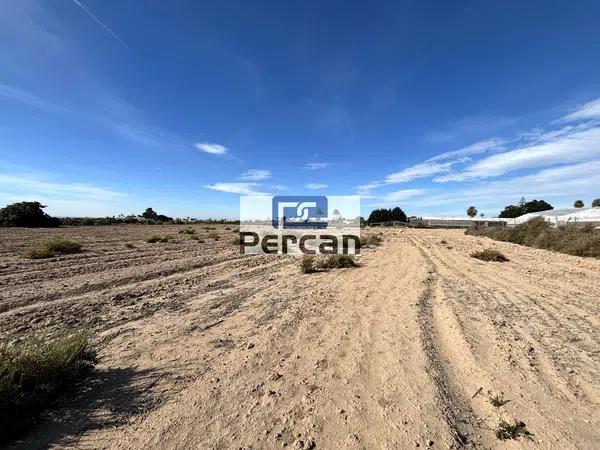 Terreno en camino vell de Alacant