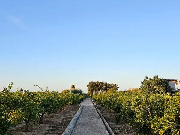 Terreno en Partida Sorell, 14