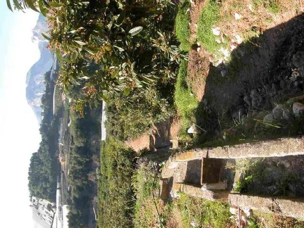 Terreno en Callosa d'En Sarria