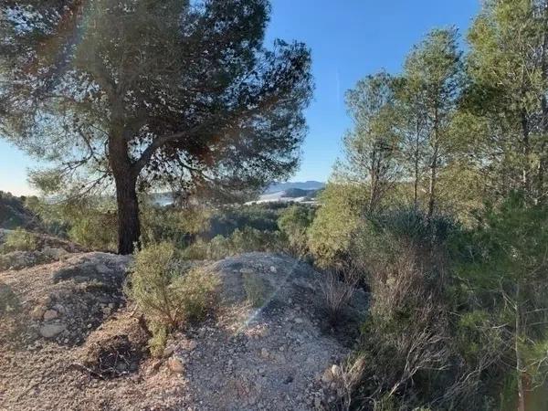 Terreno en Callosa d'En Sarria