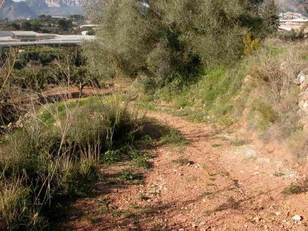 Terreno en Callosa d'En Sarria