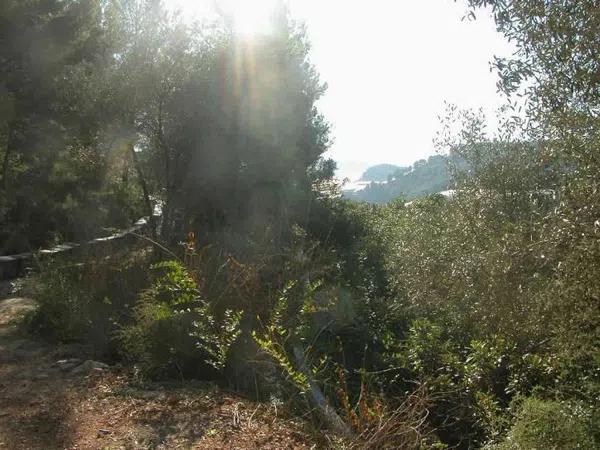 Terreno en Callosa d'En Sarria