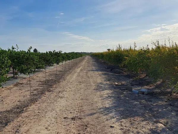 Terreno en camino de los Miras, 3 Polgono