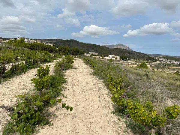 Terreno en avenida d' Alacant