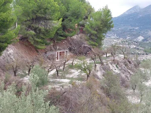 Terreno en Lugar Diseminados, 24