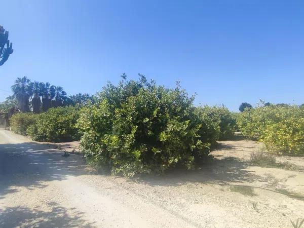 Terreno en calle Partida s/n