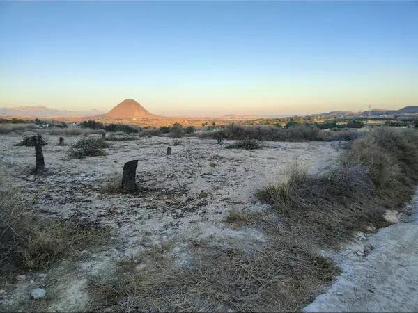 Terreno en camino de la Cova, 425