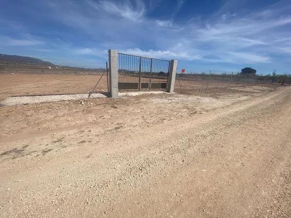 Terreno en Pinoso