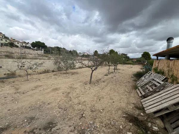 Terreno en calle Palmera