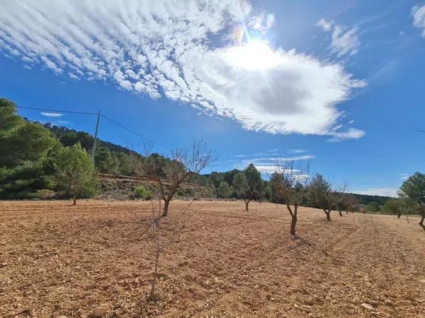 Terreno en Pinoso