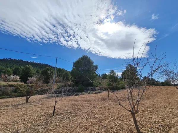 Terreno en Pinoso