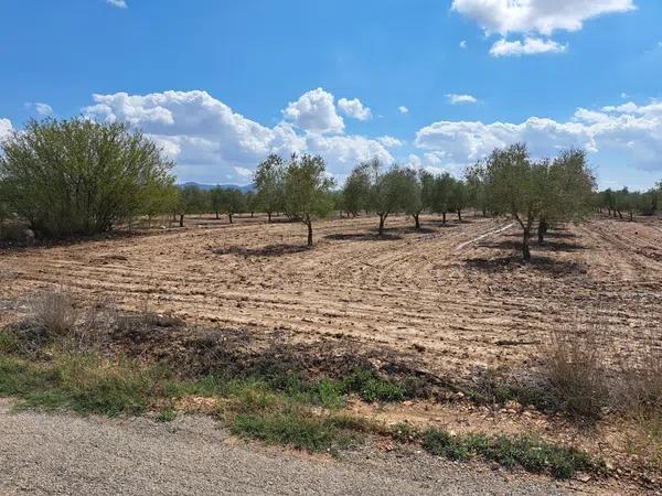 Terreno en Diseminado Paredon, 40