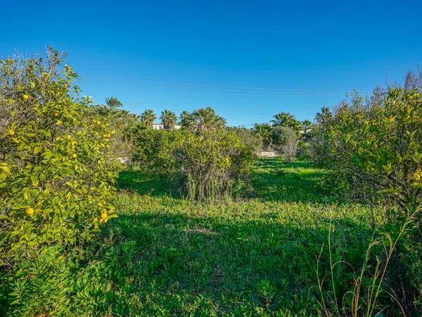 Terreno en Partida Tosal - Zona dels Castellans