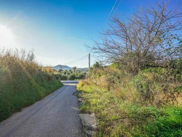 Terreno en Partida Tosal - Zona dels Castellans