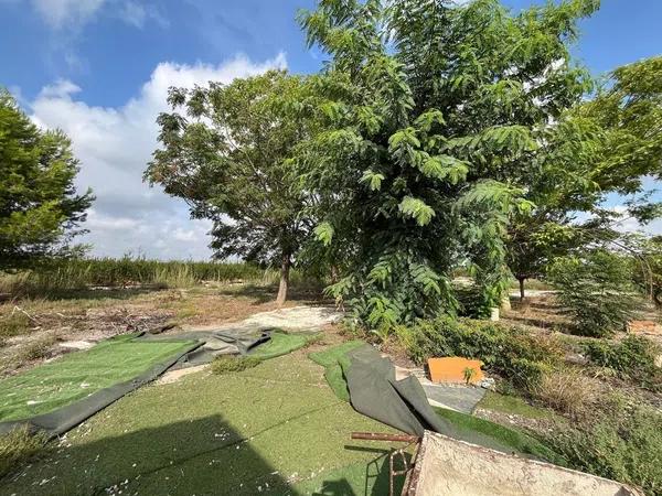 Terreno en Molins-Campaneta-San Bartolomé