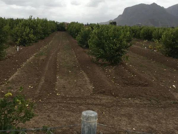 Terreno en camino Almarjaleta, 22 -28