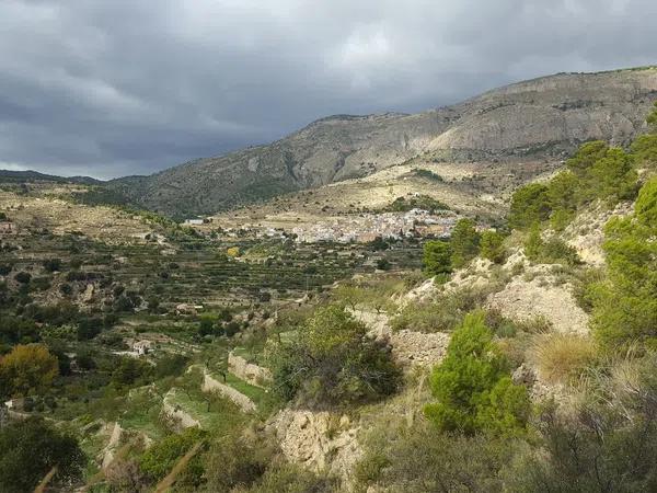 Terreno en camino lóya del pintat s/n