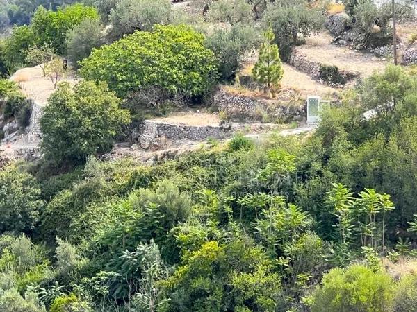 Terreno en Vall de Laguart