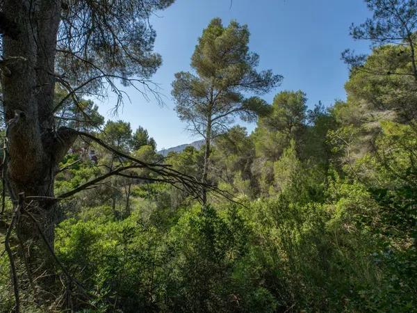 Terreno en Partida Comunes-Adsubia