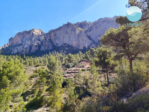 Terreno en camino de la Partida Pla de Cabeçó