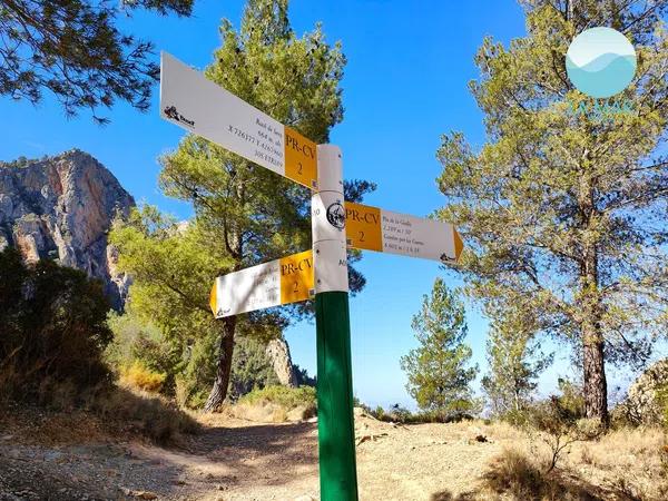 Terreno en camino de la Partida Pla de Cabeçó